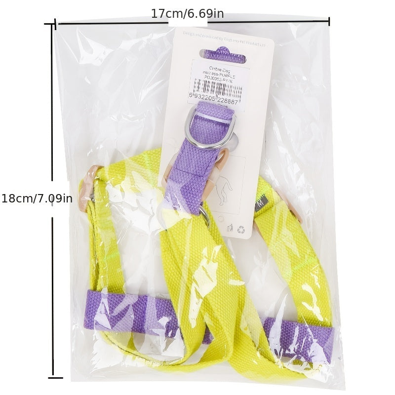 Gassi-Gurt für Hunde