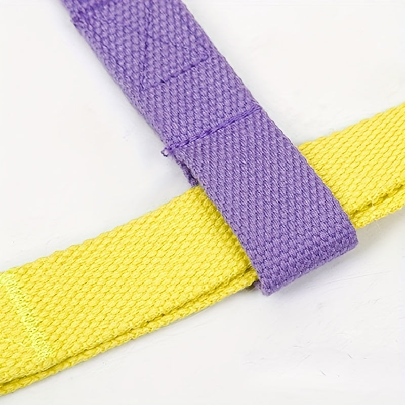 Gassi-Gurt für Hunde